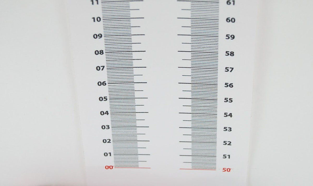 Tallímetro Autoadhesivo Calsize